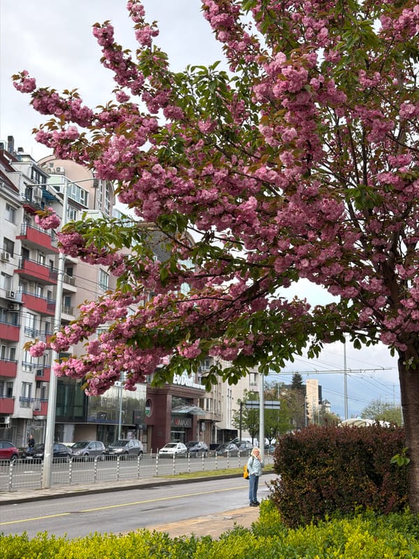 Spring morning scenes captured across Sofia, Bulgaria