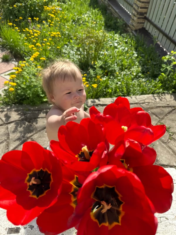 Toddler plays with red tulips on Nizhny Novgorod porch