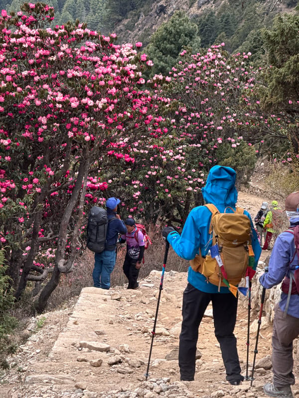 Hiker spotted on Everest region trails in Nepal