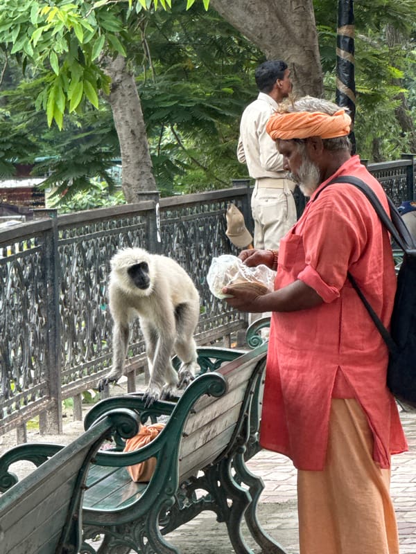 Monkeys and pilgrims share the Rishikesh riverfront