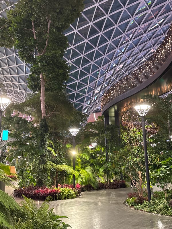 Exploring Hamad Airport's lush indoor garden in Doha