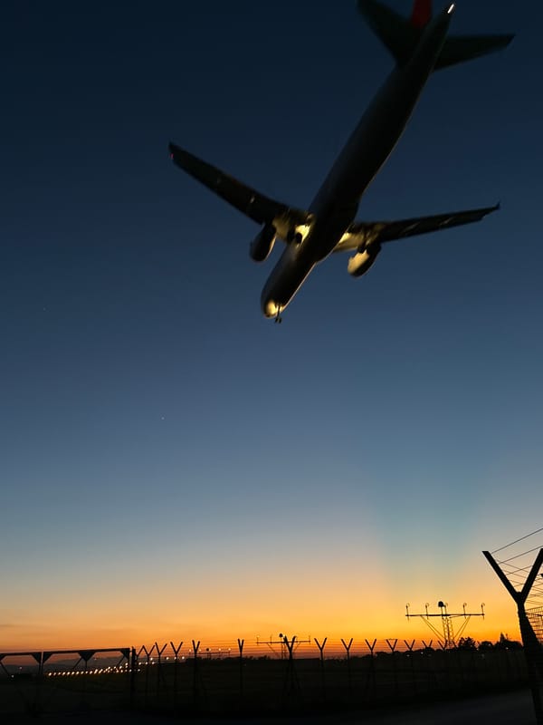 Aircraft lands at Sofia airport during sunset twilight