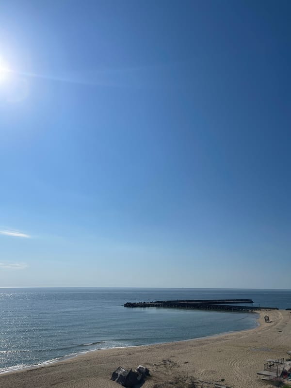 Aerial beach view shows pier, calm waters on sunny morning