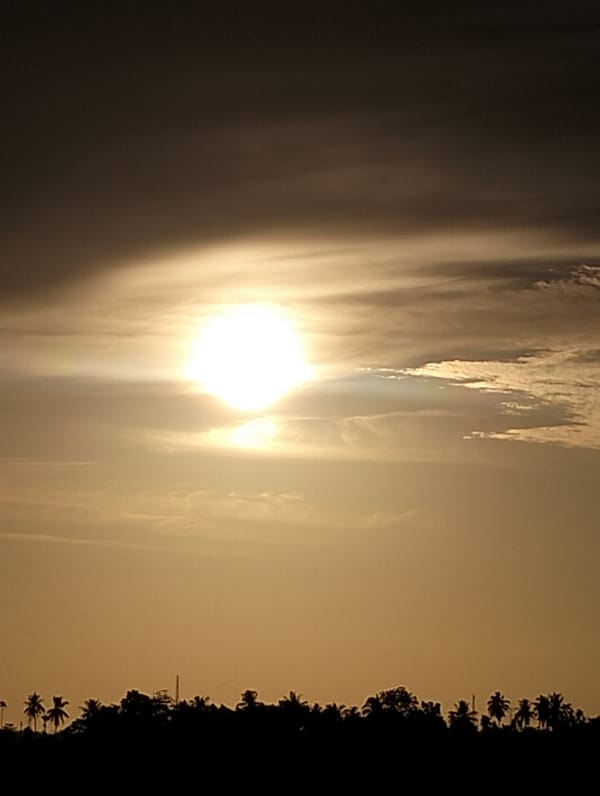 Sunset and dragon fruit flower documented in Kulam, Indonesia