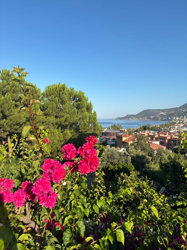 Hillside views over Alanya framed by bougainvillea and green foliage