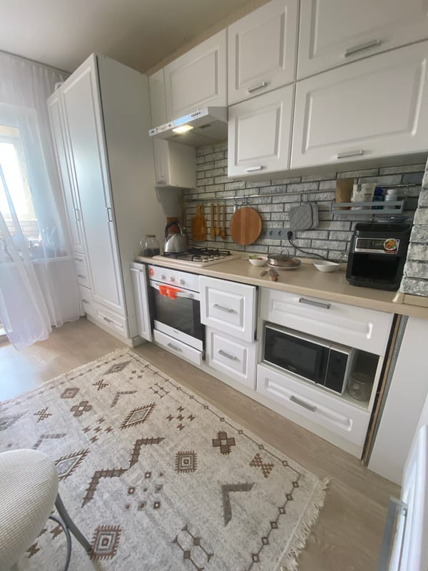 Home interior moments captured with gray cat, modern kitchen