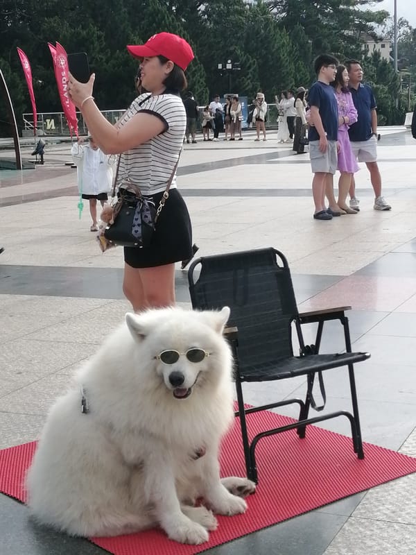 Da Lat plaza buzzes with tourists, photo ops, and dressed-up animals
