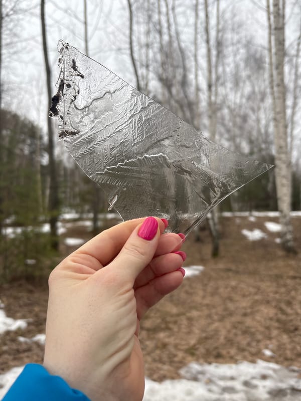 Person documents late winter ice formations in Russian forest