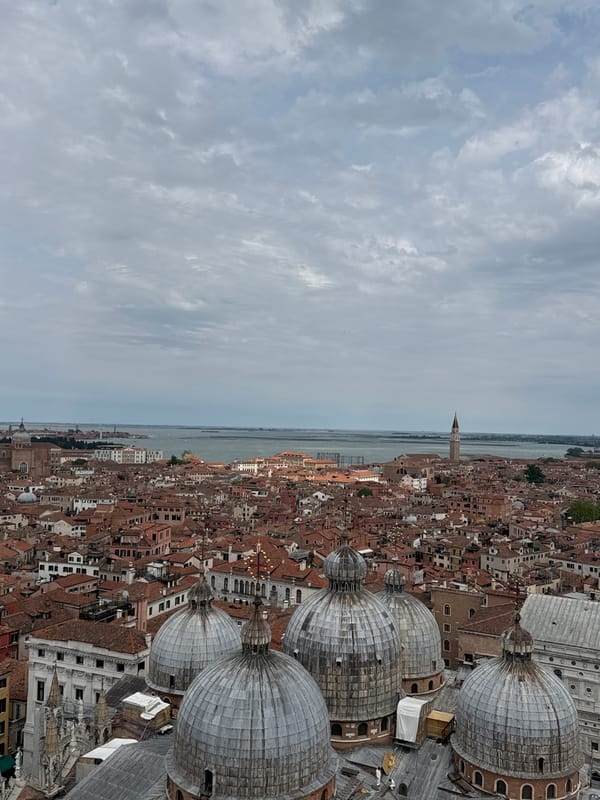 Tourist captures panoramic views of Venice from campanile