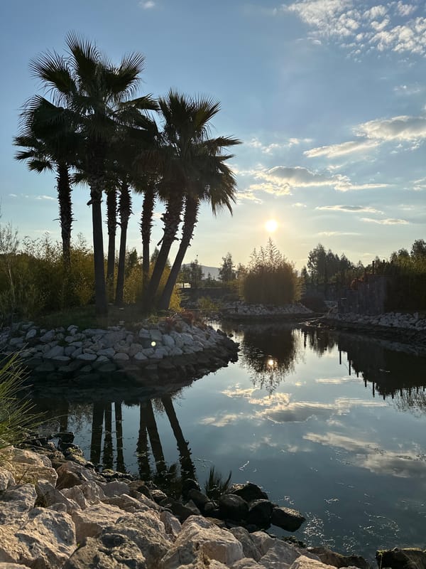 Peaceful morning waterfront scene documented in Fethiye, Turkey