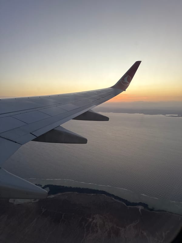 Turkish Airlines flight observed over Egyptian Red Sea coast