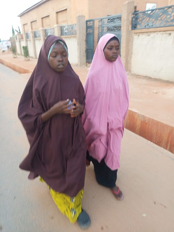 Daily street life documented in Timia, Niger