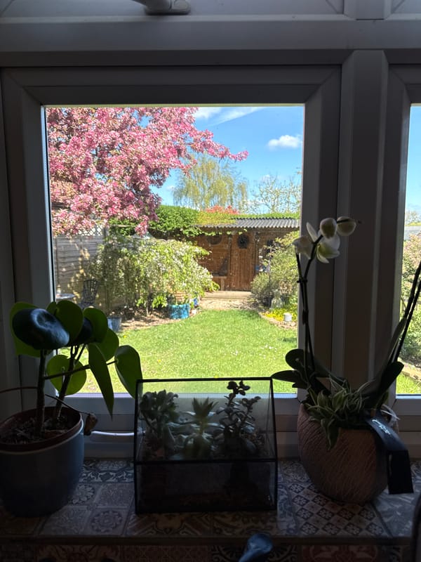 Spring garden view captured from Hitchin residence window