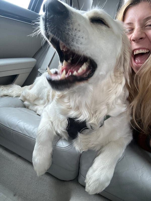 Woman and Golden Retriever travel together in Southend-on-Sea
