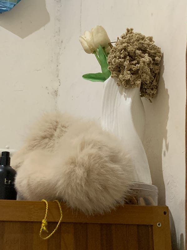 Domestic life moments documented in Indonesian household setting