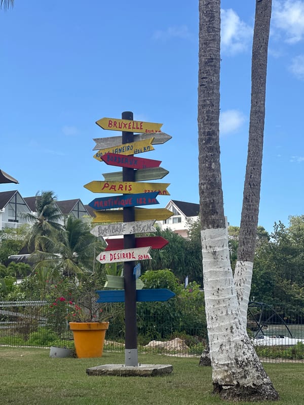 Tropical scenes and relaxing cat documented in Le Gosier