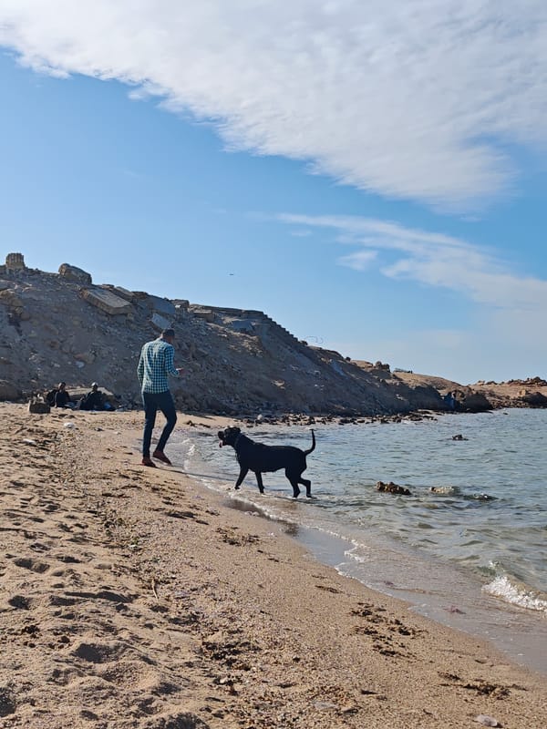 Beach day documented in Al Ahia', Egypt with jellyfish sightings