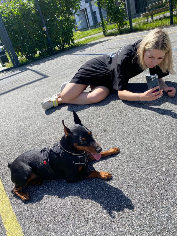 Doberman and Mini Pinscher hang out at a Moscow sports court