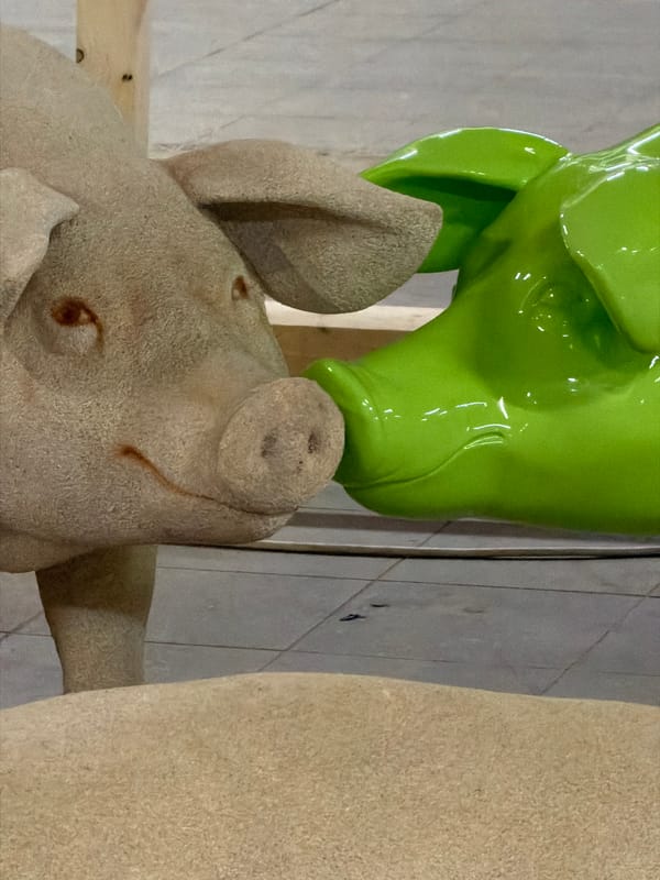Pig sculptures displayed indoors in Leudelange, Luxembourg