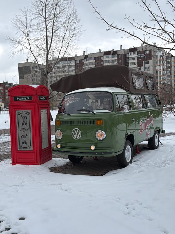 Ordinary moments documented across snowy Krasnoyarsk: coffee van, duck, cat