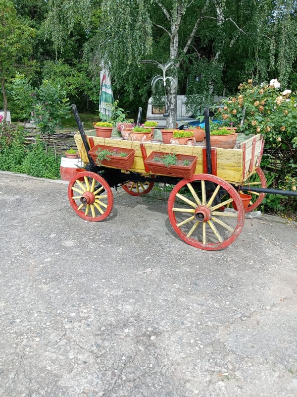 Garden wagon, blooming Yucca, Bulgarian monument captured in afternoon