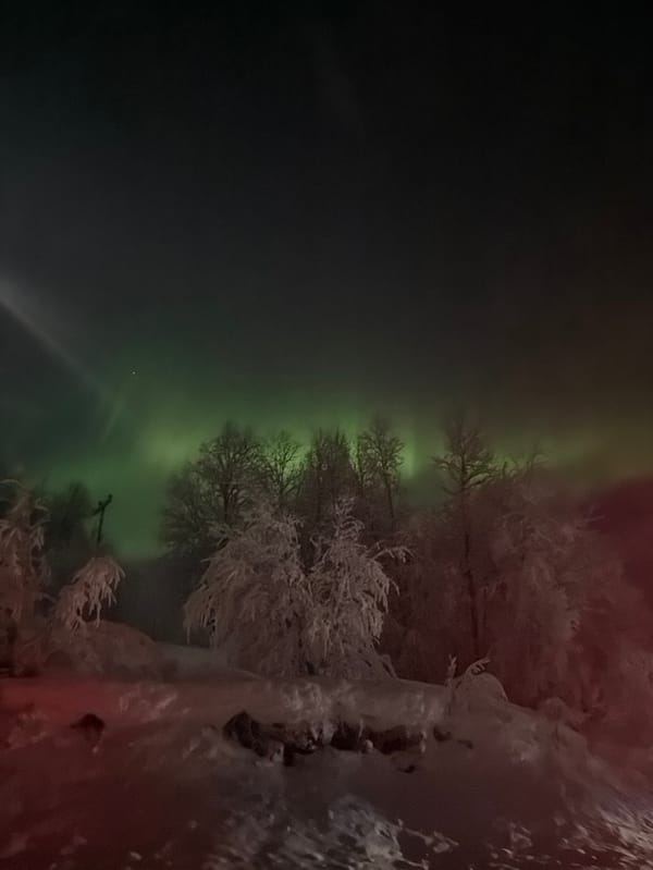 Northern lights illuminate frost-covered landscape in Brorstad, Norway