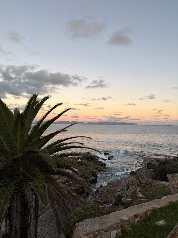Golden hour coastal documentation captures Hermanus whale sculptures, wildlife