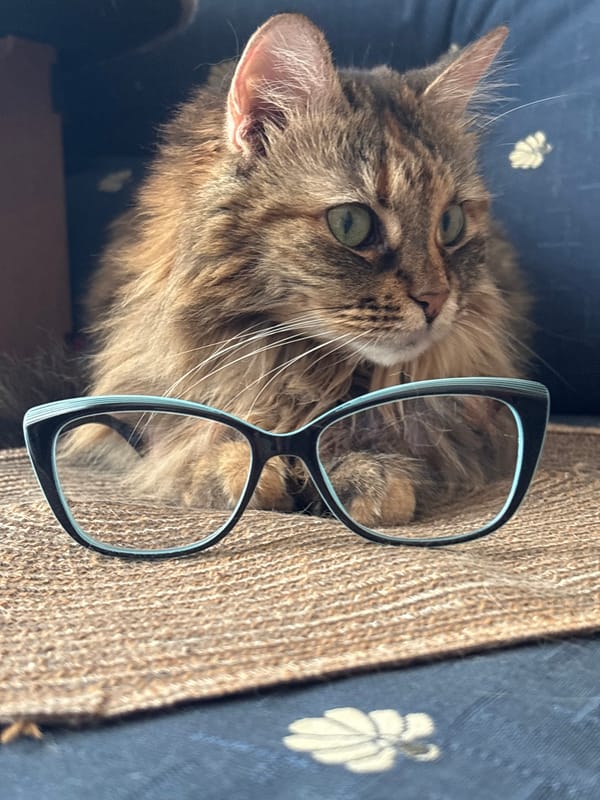 Laptop workspace documented in Bar, Montenegro with cityscape view