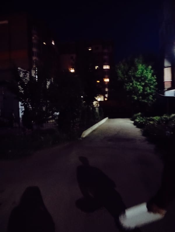Evening grocery run and neighborhood stroll documented in Poltava