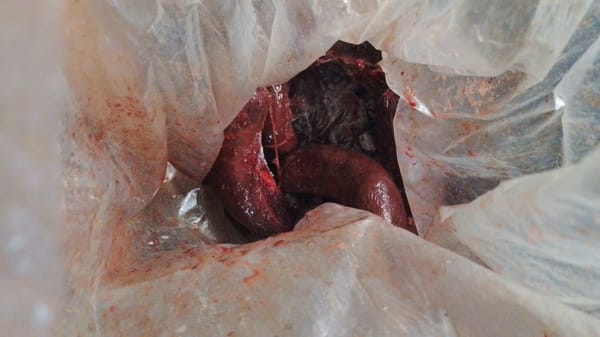 Everyday scenes documented in Tinaquillo, Venezuela recreational area