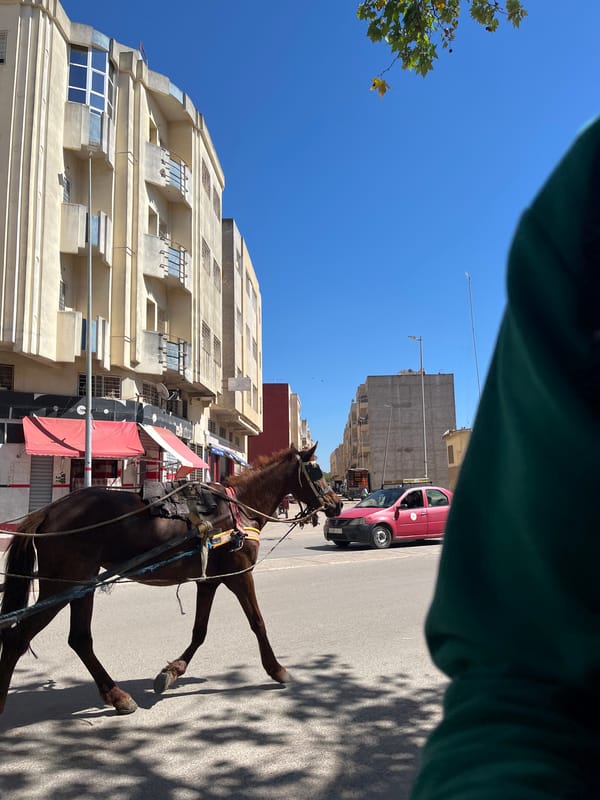 Horse-drawn carriage spotted on Fez street