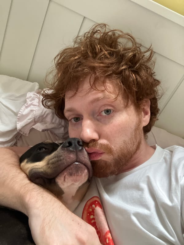 Dog shows affection to red-haired man on bed in Tel Aviv