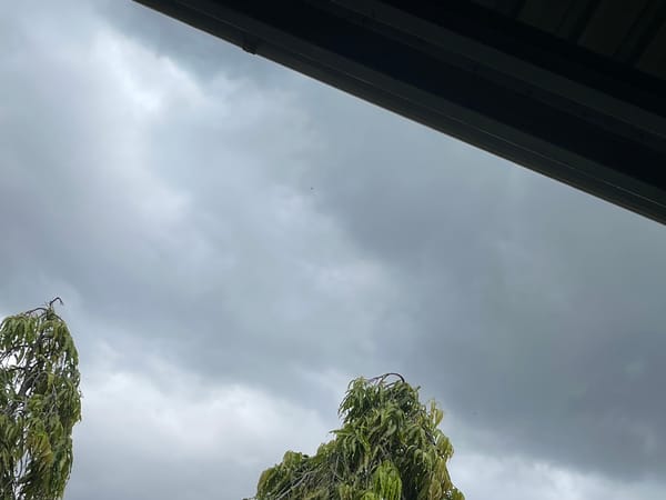 Ordinary moments documented in Dar es-Salaam: overcast sky, stocked refrigerator