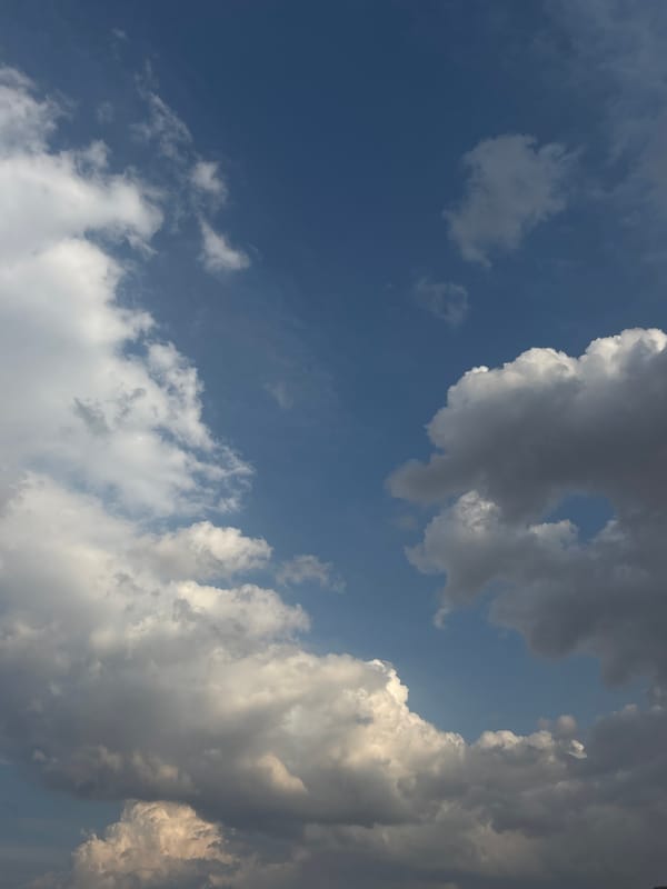 Evening rooftop observations in Puebla with beer bottle discovery