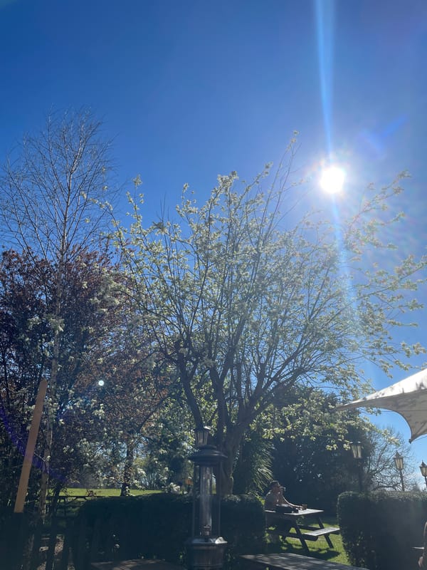 Spring outdoor dining observed in sunny Maidstone