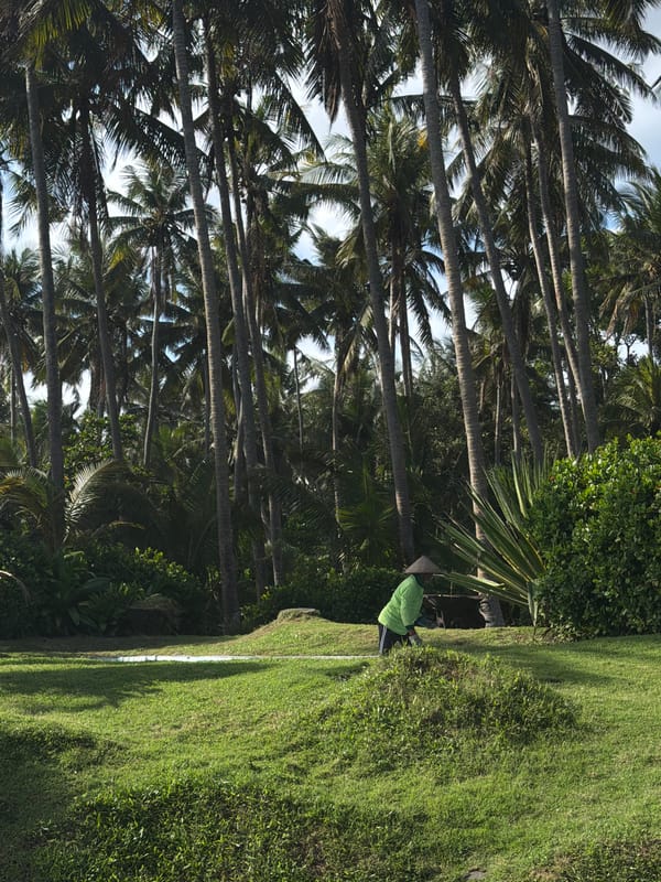 Morning scenes captured in Kerambitan's tropical beach landscape