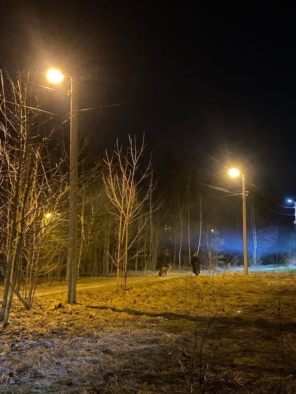 Quiet evening pathway captured in Lobnya, Russia