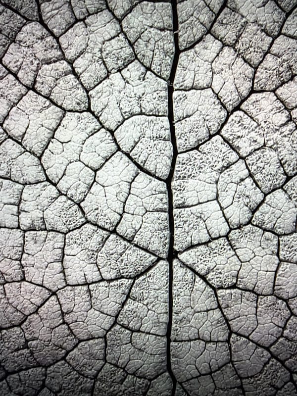 Night skies and close-up textures from Kafr Yasif, Israel