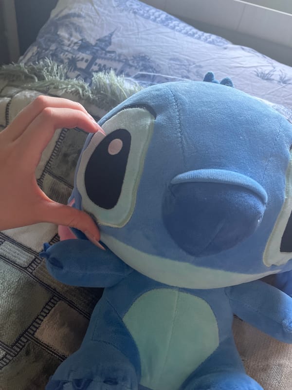 Afternoon selfie session with Disney plush toys in Ashkadar