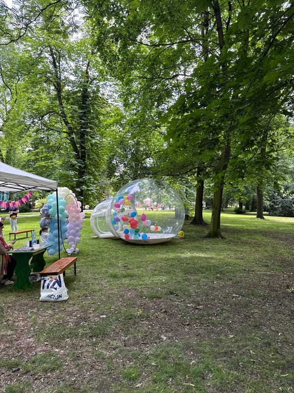 Morning scenes captured: park dog walks and indoor moments