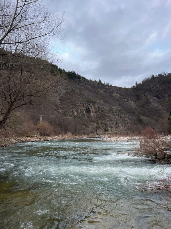 Rapid river flow documented under overcast skies in Bulgaria