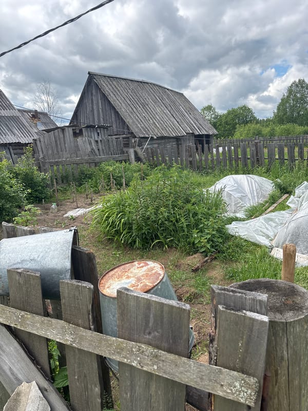 Child plays in rural Kurgan yard during family time