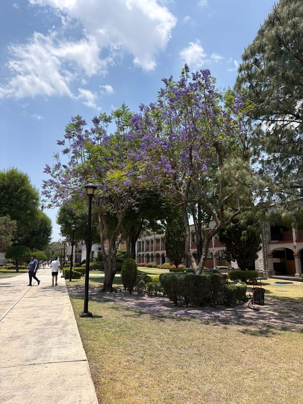 Daily life scenes captured across San Andrés Cholula