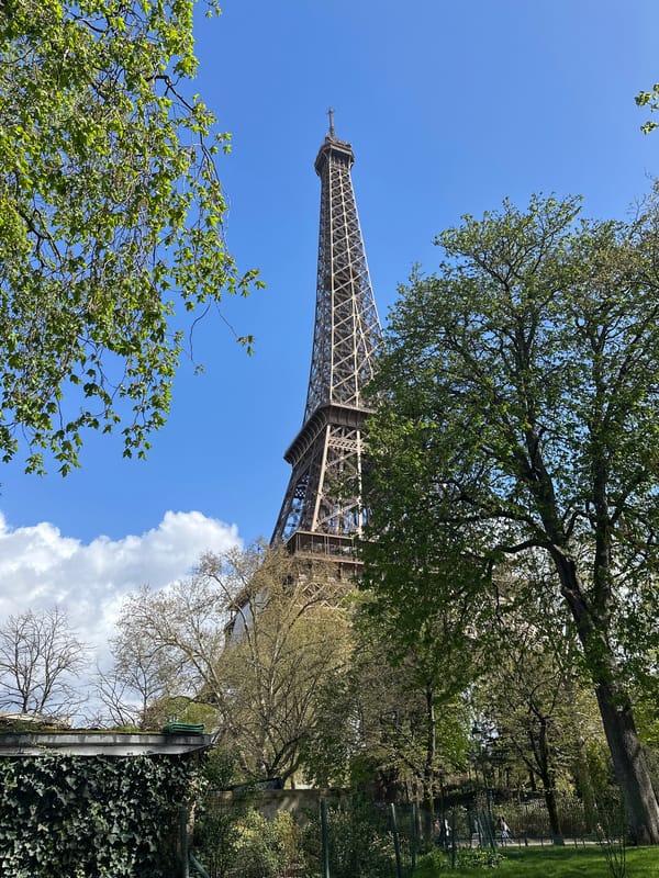 Tourists photograph Eiffel Tower from different vantage points