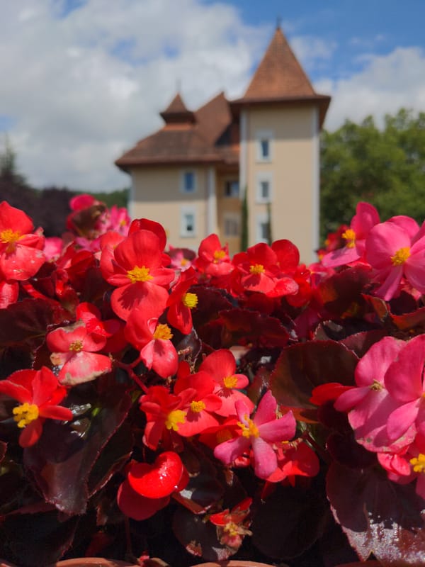 Pool day at a Holubyne resort, flowers and all