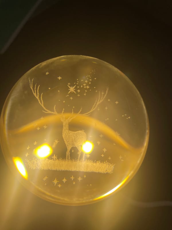 Pets, toys, and glass orbs in a Moscow home