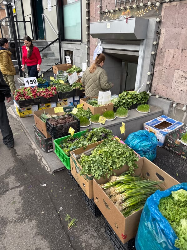 Everyday street scenes captured across Yerevan during afternoon hours