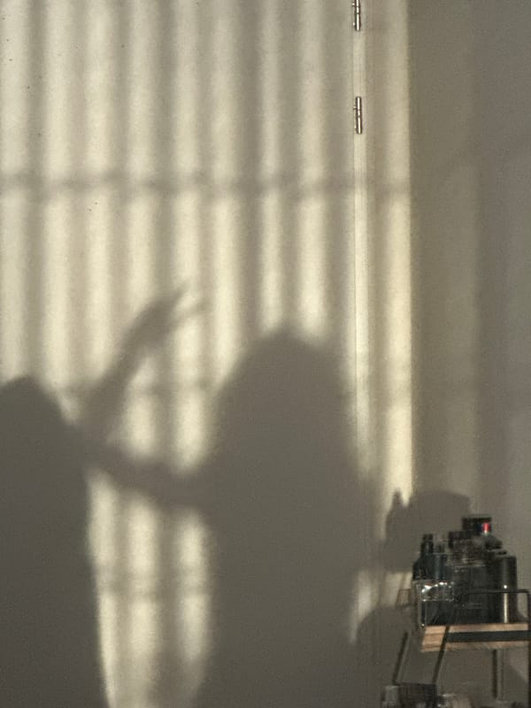Shadow play and modern architecture in Amsterdam on a sunny evening
