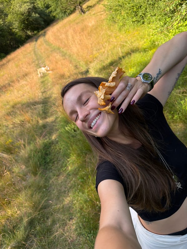 Foraging chanterelles by a turquoise river in Montenegro