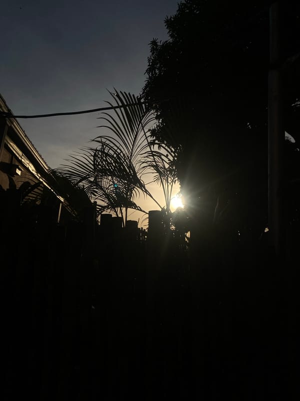 Dramatic sunrise/sunset silhouettes captured in Barden Yana, Nigeria